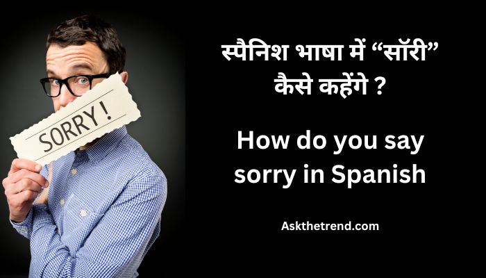 How do you say sorry in Spanish