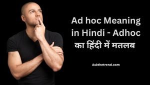 Ad hoc Meaning in Hindi - Adhoc का हिंदी में मतलब - Ask The Trend