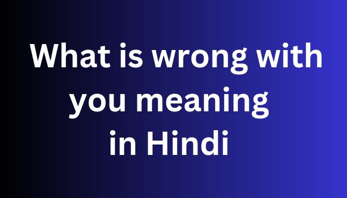 What is wrong with you meaning in Hindi